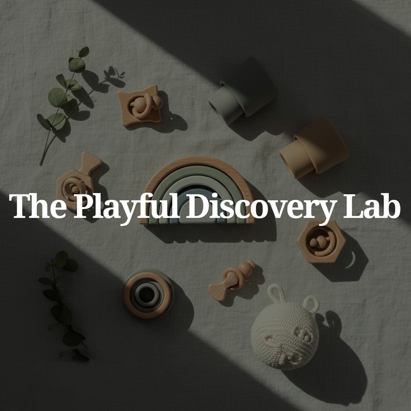 The Playful Discovery Lab